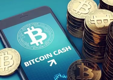 Bitcoin Cash 100%-ით გაიზარდა
